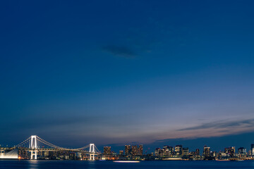 ライトアップされたレインボーブリッジと東京都心の夜景