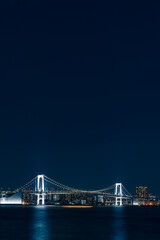 Obraz premium ライトアップされたレインボーブリッジと東京都心の夜景