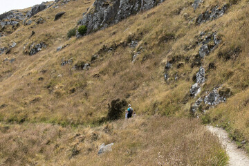 A family hiking along the ocean in New Zealand. The concept of local travel. 