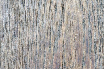 Background image, macro image of old wood pattern