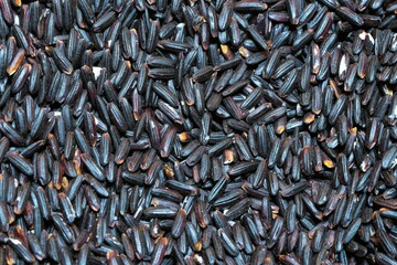 Background image of brown rice, black glutinous rice