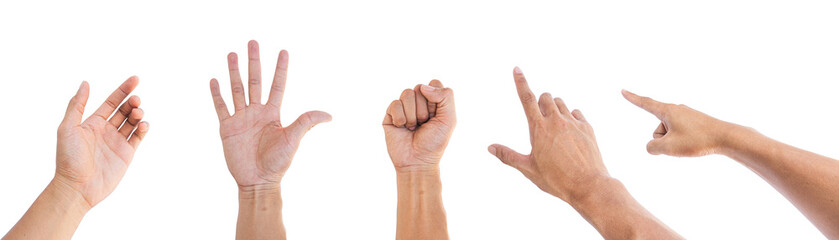 Set of man hands isolated on white background with clipping path - obrazy, fototapety, plakaty