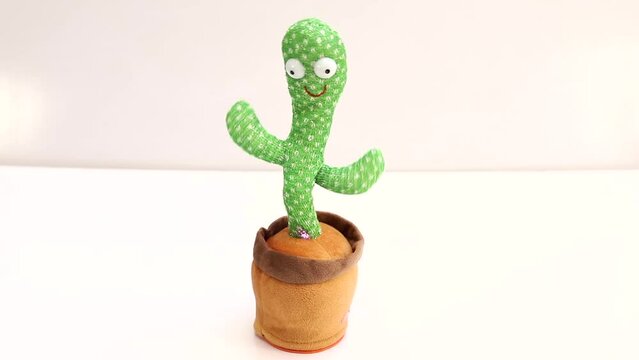Dancing cactus children's toy on a white table with white wall background