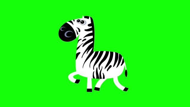 Cartoon zebra 1 flat design children animation greenbox walking cycle cute 2d hand made African black and white stripes animal character animation good for any use. 