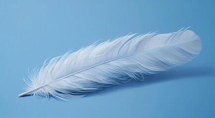 Obraz premium white feather on blue background 