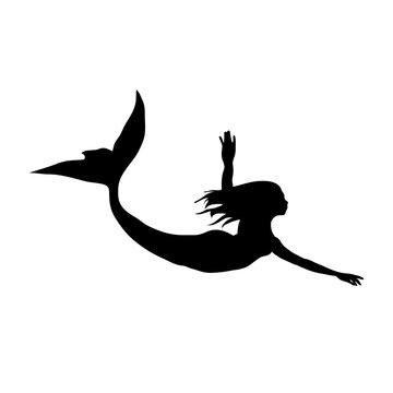 Mermaid silhouette vector