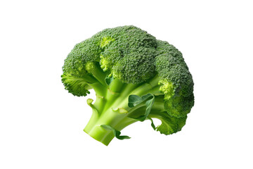 broccoli isolated on isolated transparent background