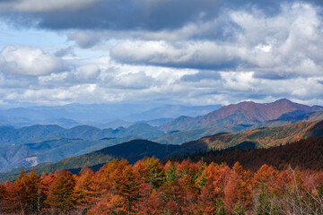 高ボッチ高原の紅葉の山と沸き立つ雲