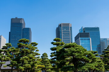 Fototapeta na wymiar 東京　大手町・丸の内のオフィスビル群の風景