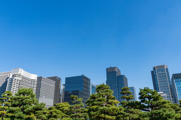 東京　大手町・丸の内のオフィスビル群の風景