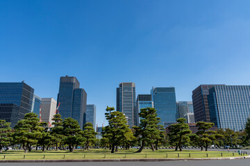 東京　大手町・丸の内のオフィスビル群の風景