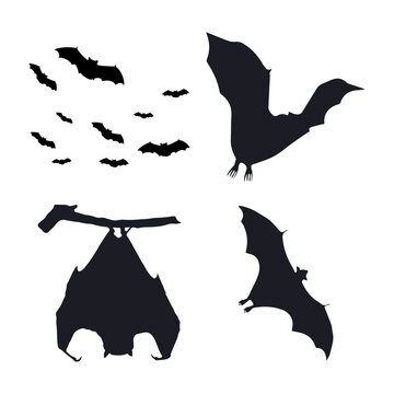 Halloween Bat Silhouette With Different Style. Vector Illustration Set. 