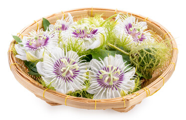 Passion Fruit flower with leaf in bamboo basket isolate on white background with clipping path, Passion flower medical herb.