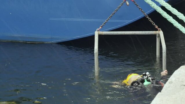 diver descended into the sea using a cage
