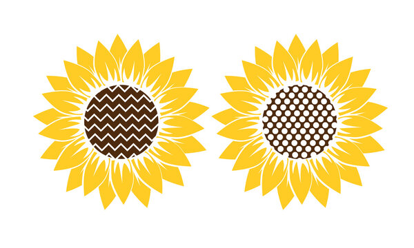 Sunflower Vector and Clip Art