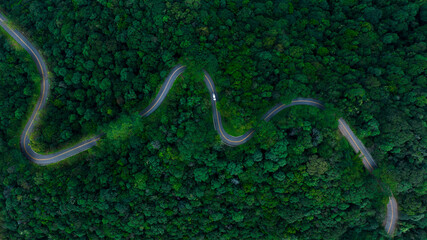 beautyfull curved road with small driving car and green forest in the rain season, rural routes...