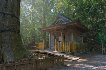 宮﨑 高千穂神社 森の中の荒立神社四皇子社