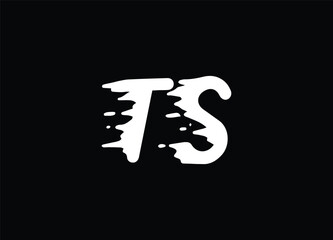TS letter logo and monogram logo