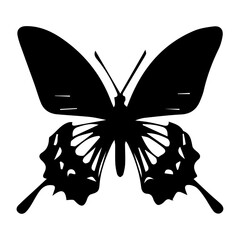 Butterfly vector silhouette illustration black color