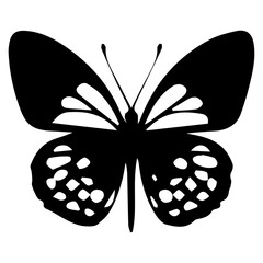 Butterfly vector silhouette illustration black color