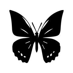 Butterfly vector silhouette illustration black color