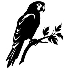 Parrot couple vector silhouette illustration