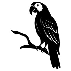 Parrot couple vector silhouette illustration