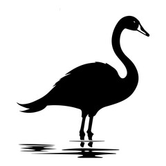 Swan vector silhouette illustration black color
