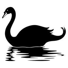 Swan vector silhouette illustration black color