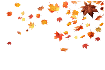 colorful autumn leaves falling on an isolated transparent background
