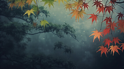 Fototapeta na wymiar red japanese maple autumn rainy weather on gray blurred background