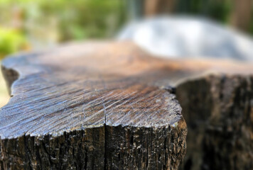 Fototapeta premium Tree Stump Table with Blurred Garden Background, Suitable for Product Presentation Backdrop, Display, and Mock up.