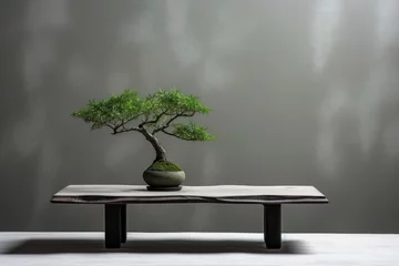 Afwasbaar fotobehang japanese bonsai tree on a minimalist table © Natalia