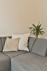 a living room with a gray couch and white pillows on the sofa is next to a large potted plant