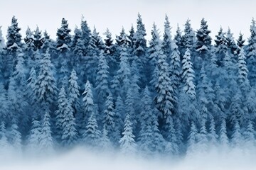Fototapeta na wymiar Blue Snowing Forest Pine Christmas Trees in Rows background, patterns, Horizontal, landscape, Christmas theme, Winter