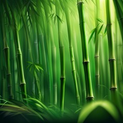 Fototapeta na wymiar bamboo forest illustration background
