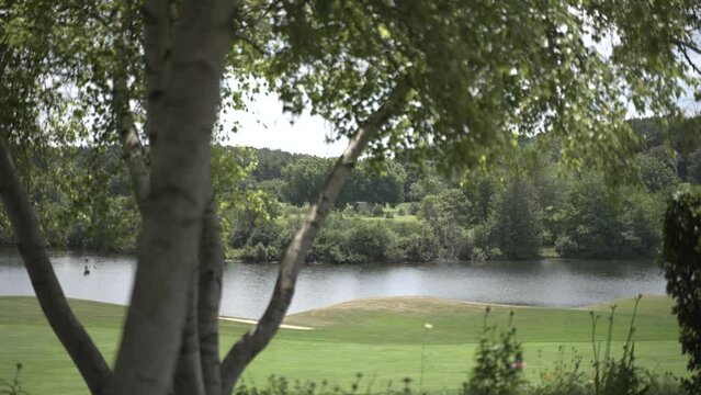 Golf course and lake with tree in the foreground midwest summer day