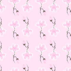 Patrón de flores de sakura floreciendo sobre fondo plano rosa. Patrón de flores de cerezo sobre fondo rosa para decorar superficies.