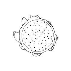 Hand drawn slice of dragon fruits on white background.
