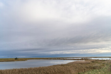 Fall scenery on the Darß peninsula, Baltic Sea, Germany