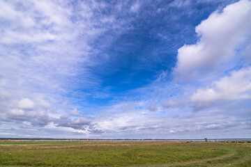 Fall scenery on the Darß peninsula, Baltic Sea, Germany