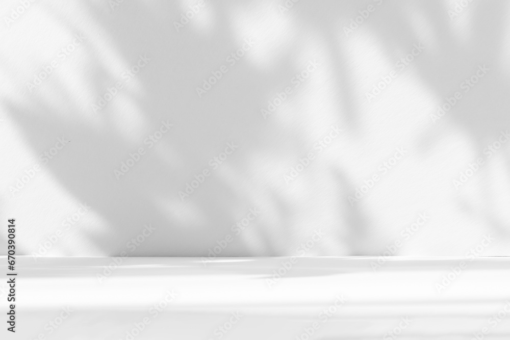 Poster Abstract white studio background for product presentation. Empty room with shadows of window and flowers and palm leaves . 3d room with copy space. Summer concert. Blurred backdrop.