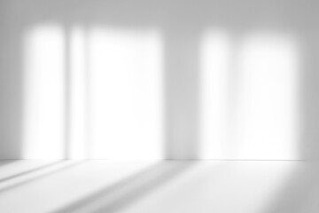 Abstract white studio background with shadows of window. Empty 3d room. Display product with...