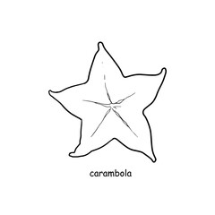 Hand drawn star fruits on white background.
