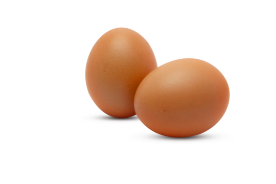 two chicken egg isolate on transparent background png