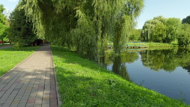 Empty alley of Topilche Park, Ternopil, Ukraine. Wonderful summer view of the shore of Seret river. Beauty of nature concept background. 4K video (Ultra High Definition).