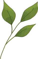 Fototapeta premium Leaves elements. Garden floral plants vector illustration.