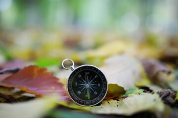 A compas lying on the wood surrounded by autumn leaves © alexkich