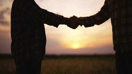 Close-up of men's handshake at sunset. Farmers or businessmen in wheat field made contract or gesture of respect when meeting. Friends hold hands and shake them up and down. Teamwork, cooperation.