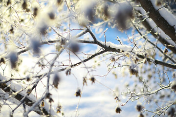 Winter landscape. Fairy-tale beauty of snow-covered streets. Snowfall and cooling in tourist areas.